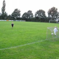 10_minipups_training